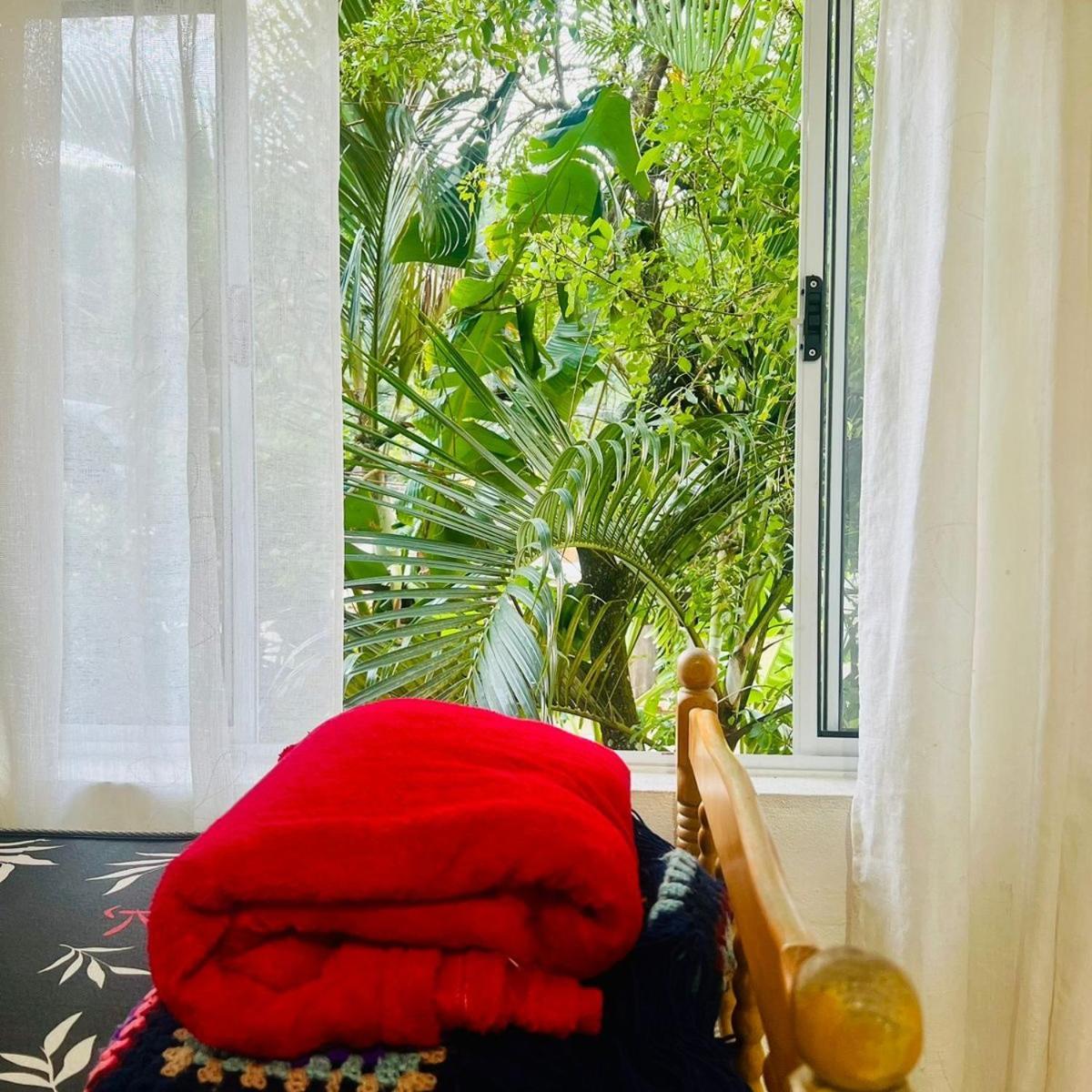 Xixova Hostel Japui Sao Vicente ปรายากรันเด ภายนอก รูปภาพ